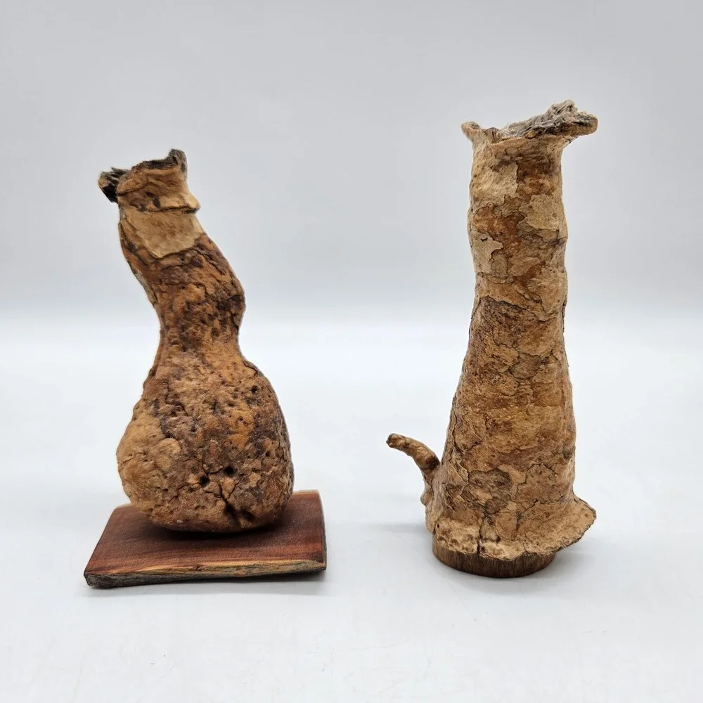 Southwestern Natural Arizona Saguaro Cactus Skeleton Bud Vases Lot of 2